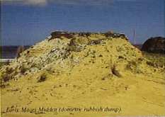 Early Maori Midden (domestic rubbish dump)