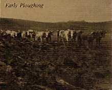 Early Ploughing