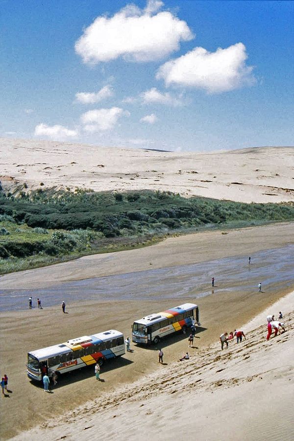 Ninety Mile Beach sand coastline